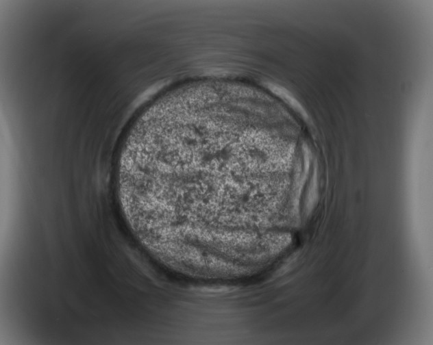 X0000086030483200704131916