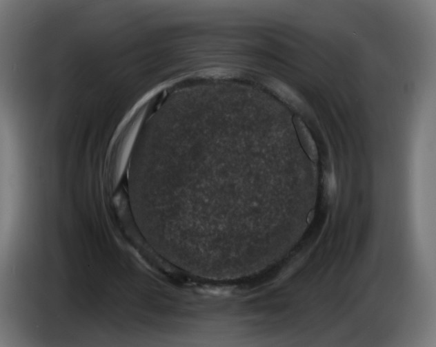 X0000086030484200704131916