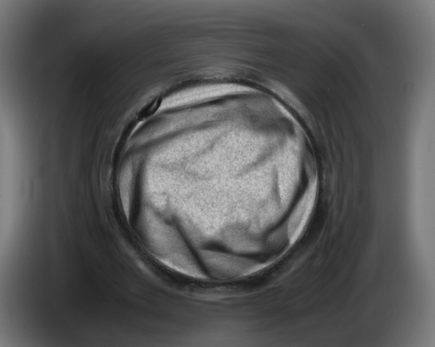 X0000086030485200704131916