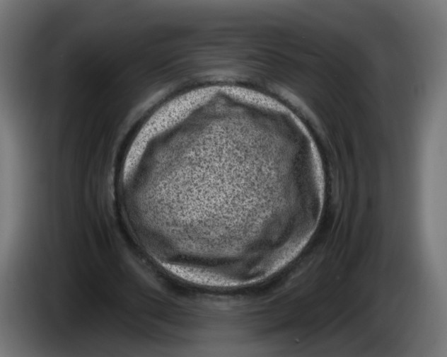 X0000086030486200704131916