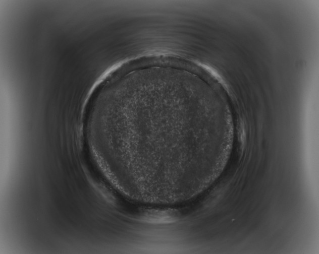 X0000086030488200704131916