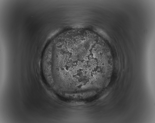 X0000086030491200704131916