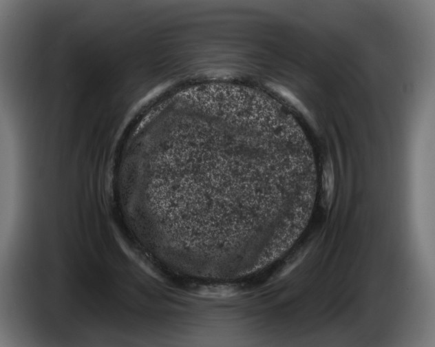 X0000086030492200704131916