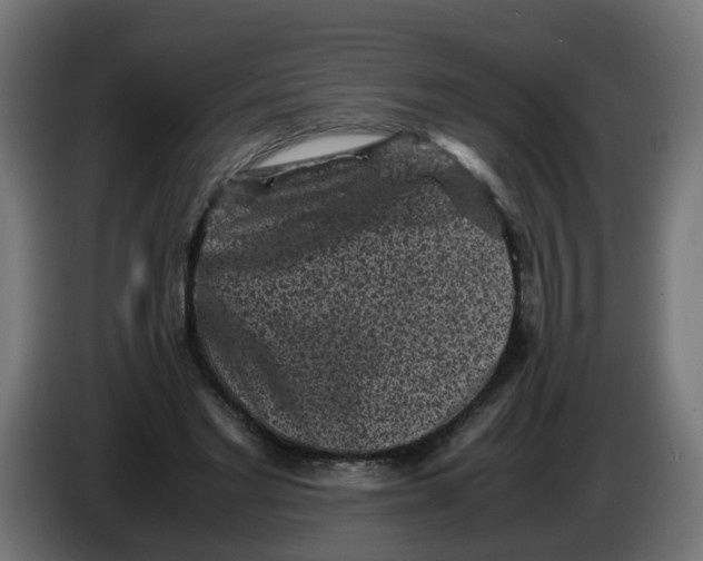 X0000086030493200704131916