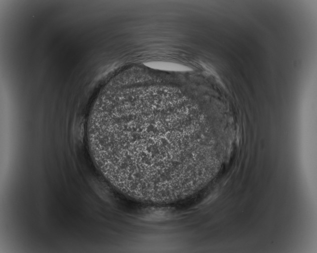 X0000086030495200704131916