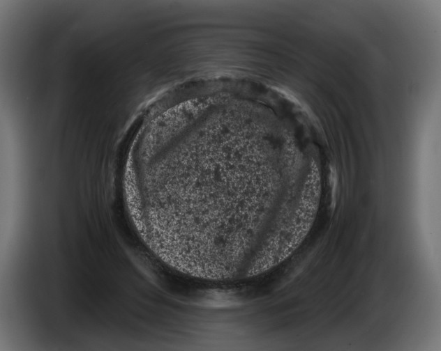 X0000086030496200704131916