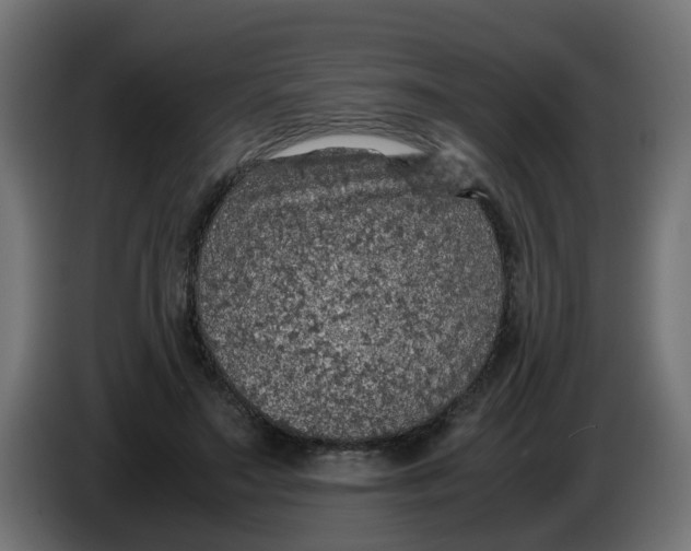 X0000086030499200704131916