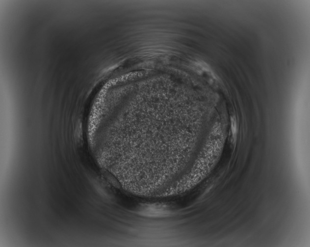 X0000086030500200704131915