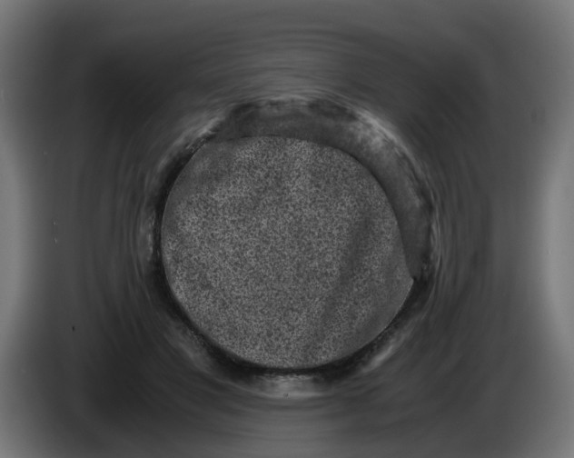 X0000086030501200704131915