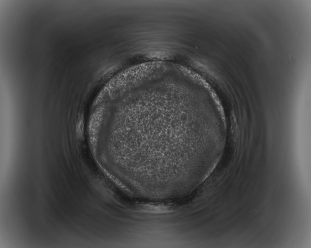 X0000086030502200704131915