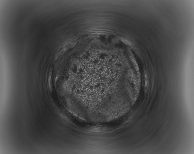 X0000086030504200704131915