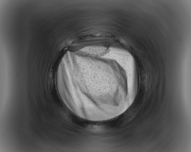 X0000086030506200704131915