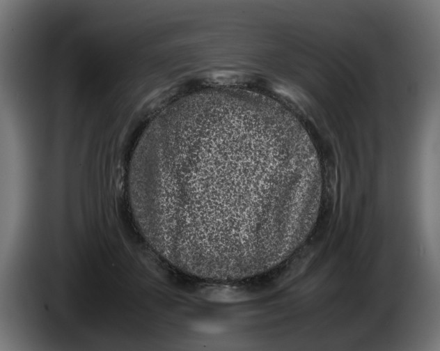 X0000086030507200704131915