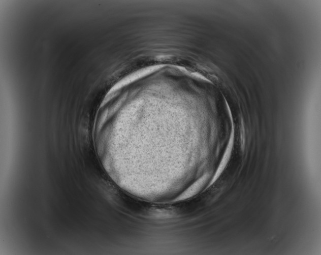 X0000086030510200704131915