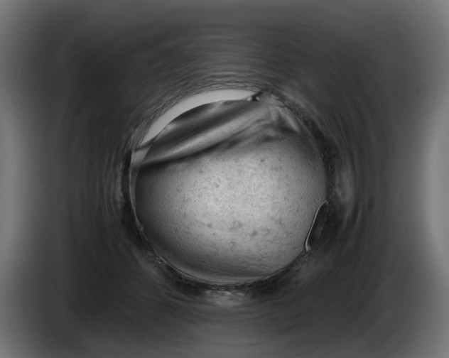 X0000086030512200704131915