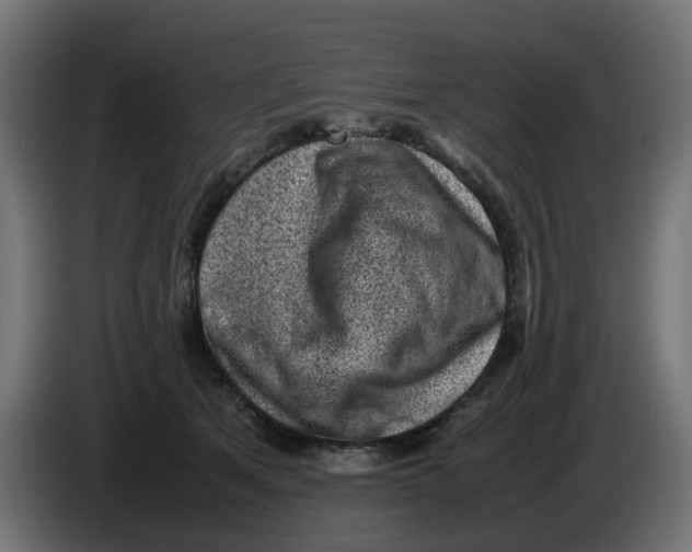 X0000086030513200704131915