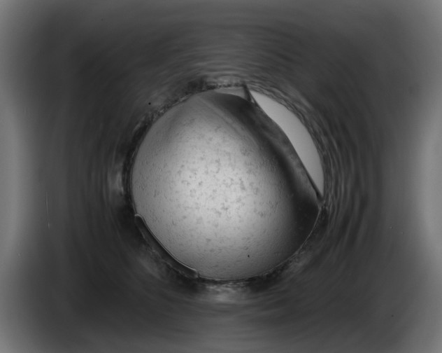 X0000086030516200704131915