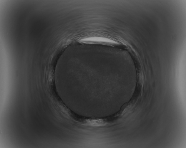 X0000086030517200704131915