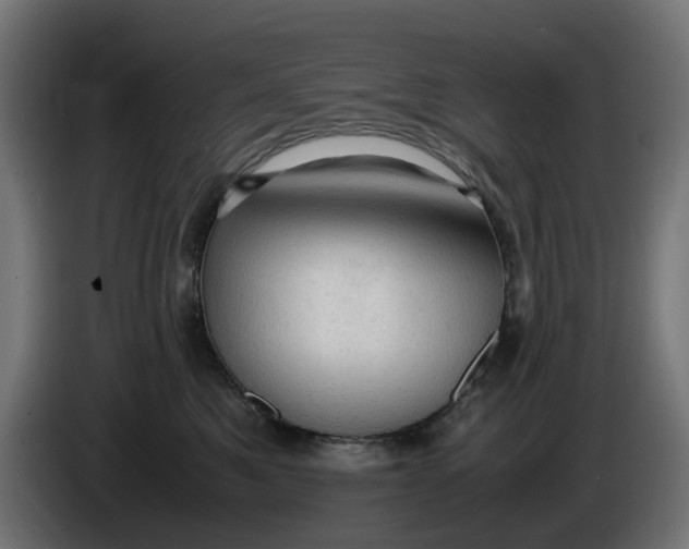 X0000086030521200704131915