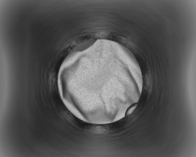 X0000086030522200704131915