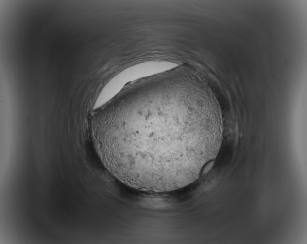 X0000086030523200704131915