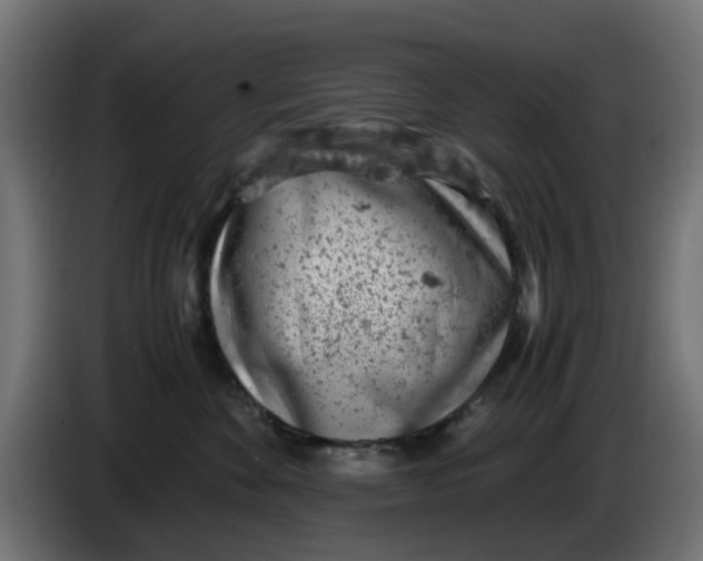 X0000086030524200704131915