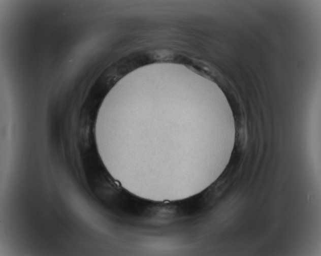 X0000086030525200704131915