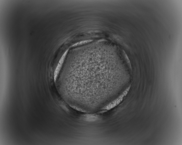 X0000086030528200704131915