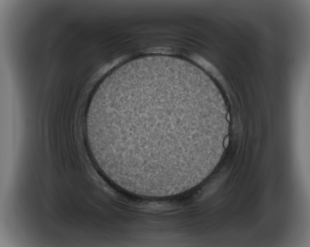 X0000086030529200704131914