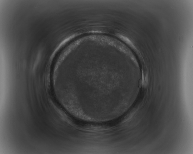 X0000086030531200704131914