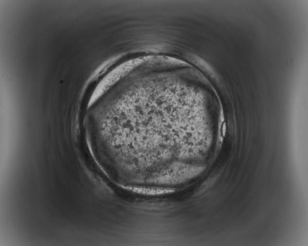 X0000086030532200704131914