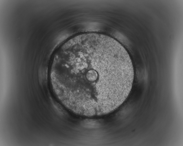 X0000086030534200704131914