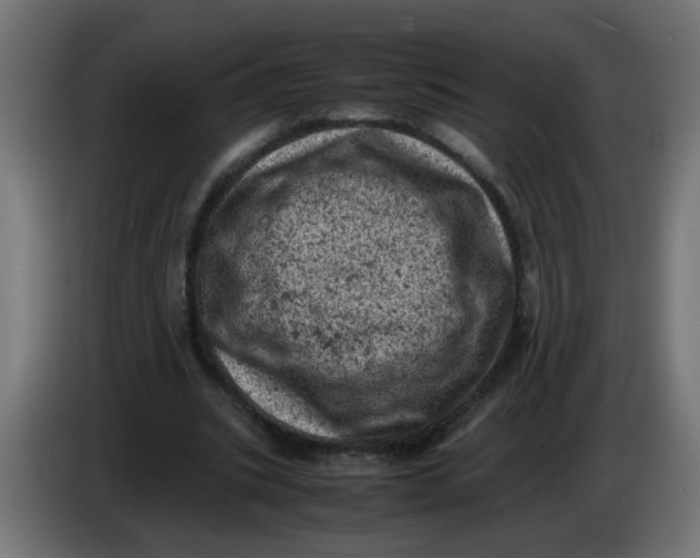 X0000086030535200704131915