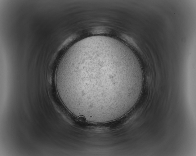 X0000086030539200704131915