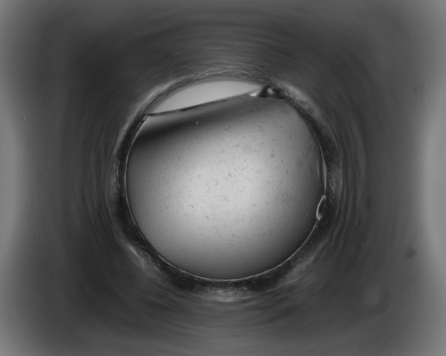 X0000086030540200704131915