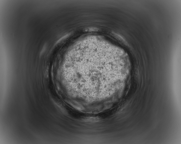 X0000086030543200704131915