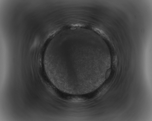 X0000086030547200704131915