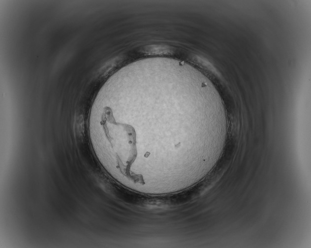 X0000086030549200704131915