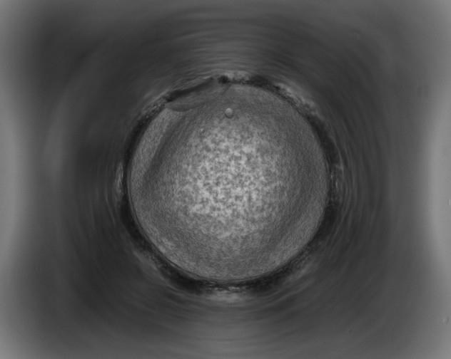 X0000086030550200704131915