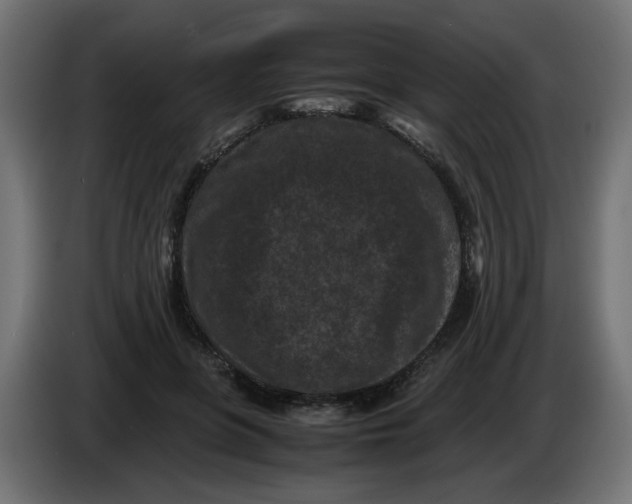 X0000086030551200704131915