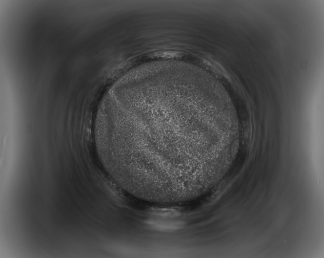 X0000086030553200704131915