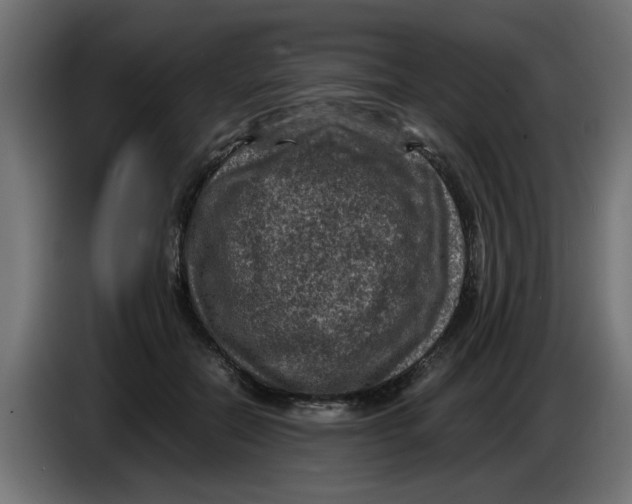 X0000086030554200704131915