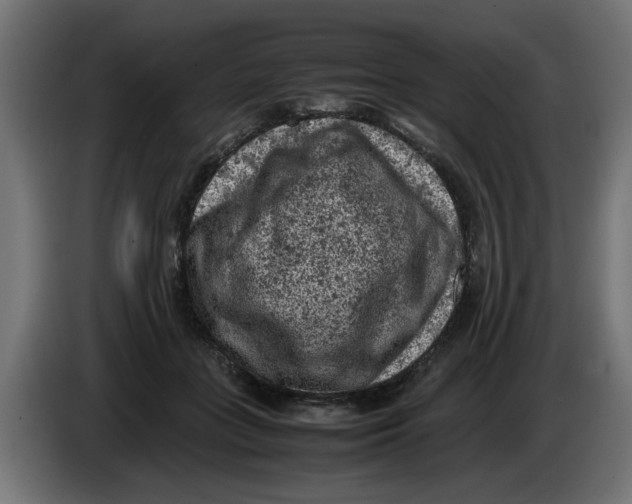 X0000086030555200704131915