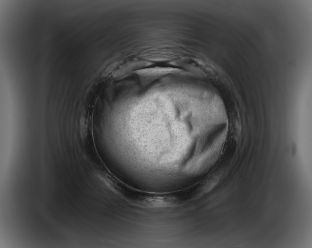 X0000086030558200704131915