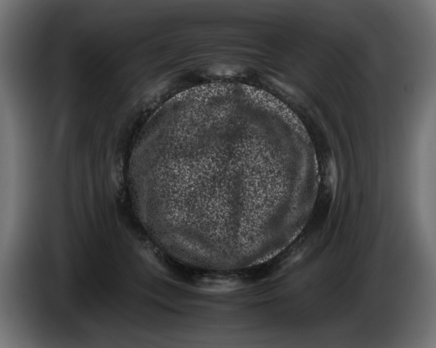 X0000086030559200704131915