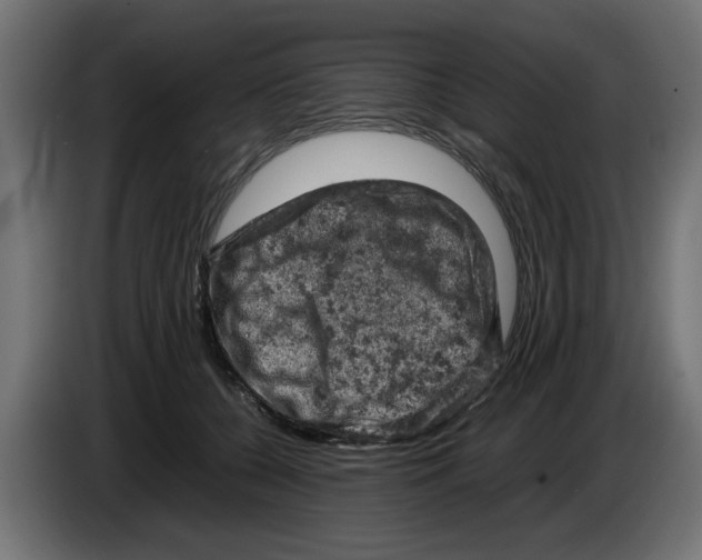 X0000086030560200704131915