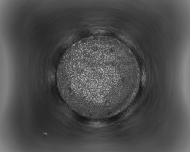 X0000086030561200704131915