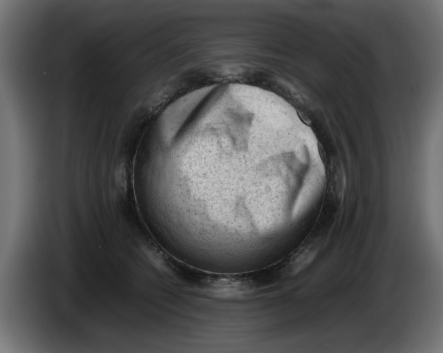 X0000086030562200704131915