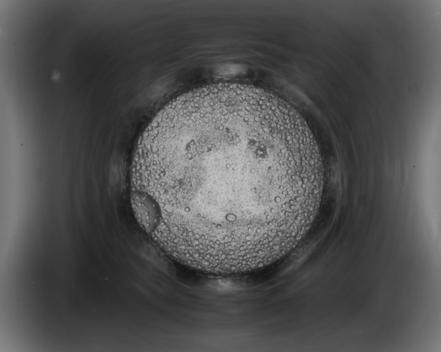 X0000086030565200704131915