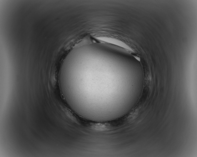 X0000086030566200704131915